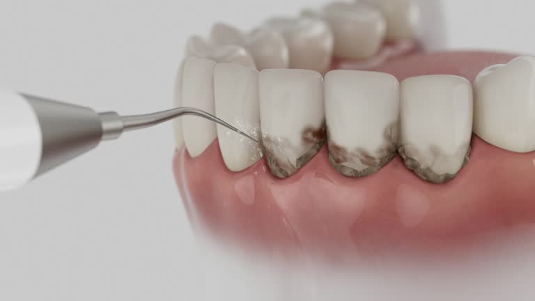 Reliable Dental contractor in La Plata, MD by Dentist Open Now